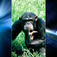 Image for article titled 10 Awesome Online Classes You Can Take For Free